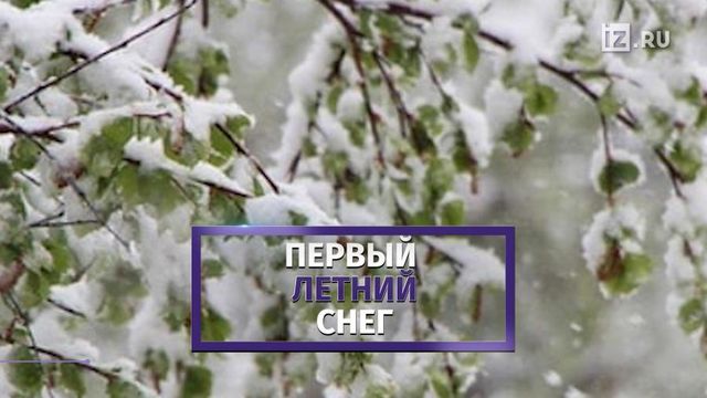 Скандинавский циклон принес в Мурманскую область июньский снег