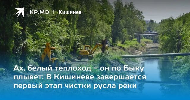 Чебан: Первый этап очистки русла реки Бык завершен на 70%