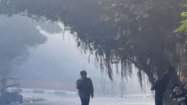 Cold wave conditions sweep Adilabad