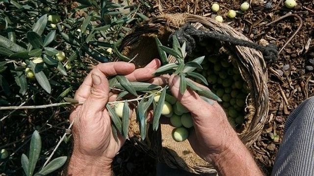 Un hombre muere al caer en un pozo en Cartagena