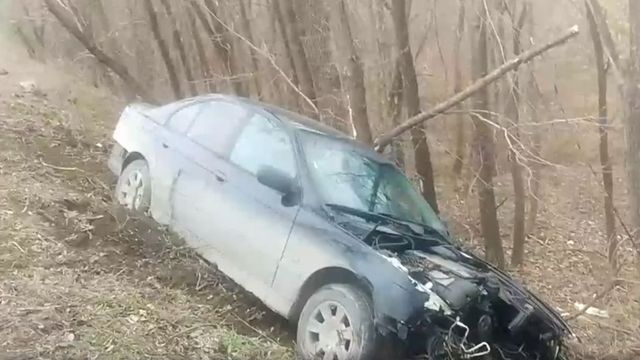 В Кишиневе на Чеканской горке автомобиль на дикой скорости влетел в лес