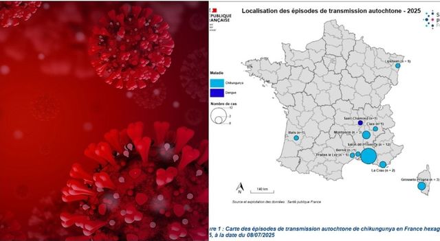 Chikungunya in Italia: cos’è, i sintomi e la cura