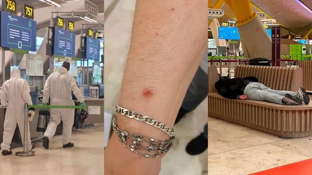 Aena niega que haya una plaga de chinches en el aeropuerto de Barajas