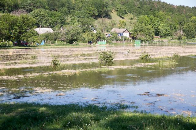 Gospodării din satul Telița, raionul Anenii Noi, afectate de inundații