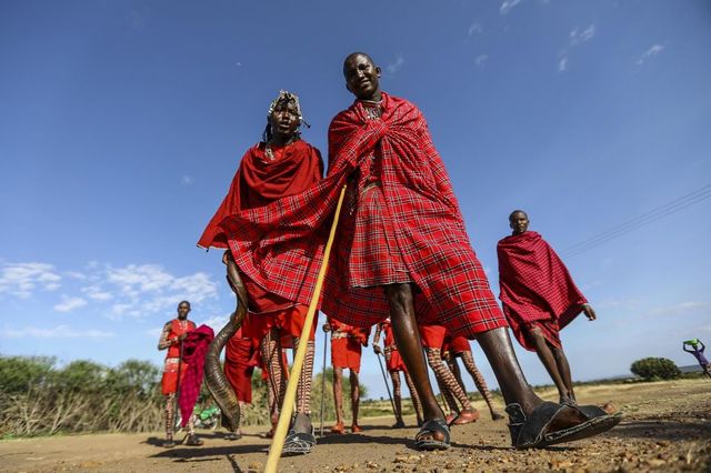 Oxford ripaga tribù masai con 98 mucche per arte 'rubata'