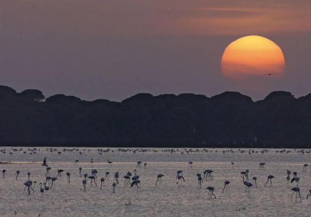 «Hay humedales en peligro de desaparecer por la sobreexplotación de los acuíferos y la contaminación»