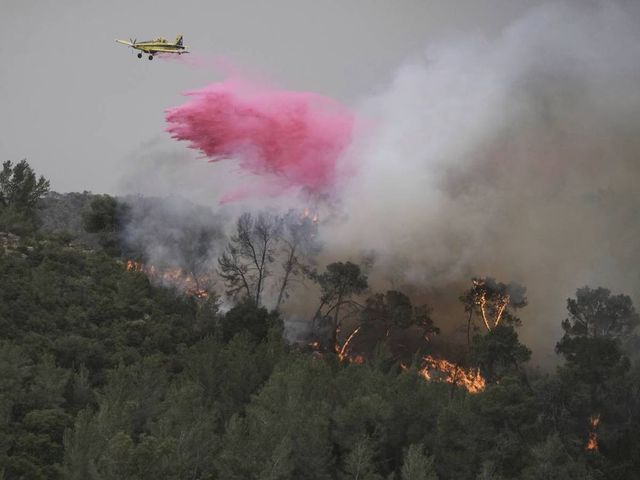 ++ Hamas, 'palestinesi bruciate tutto,boschi, foreste e case' ++