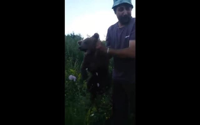 Imagini șocante. Pui de urs, capturat și chinuit fără milă în Brașov