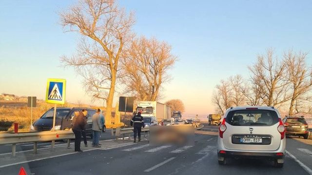 Un automobil a lovit mortal două vaci, la Măgdăcești