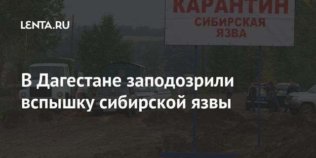 Пятерых жителей Дагестана госпитализировали с подозрением на сибирскую язву