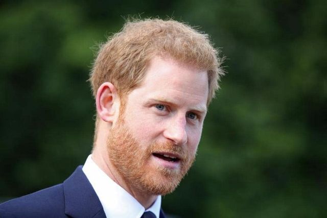Prince Harry promised marriage, woman tells Punjab & Haryana HC, judge says stop daydreaming