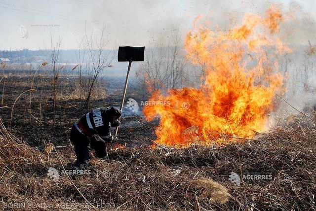 Incendiu de vegetație pe patru hectare în localitatea Pârscov