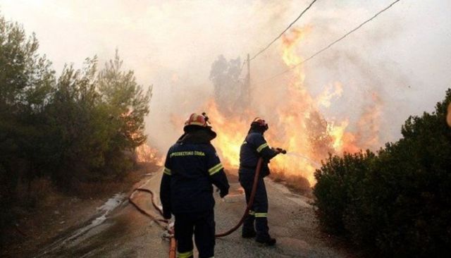 Peste 50 de incendii de pădure în Grecia produse de vânt și caniculă