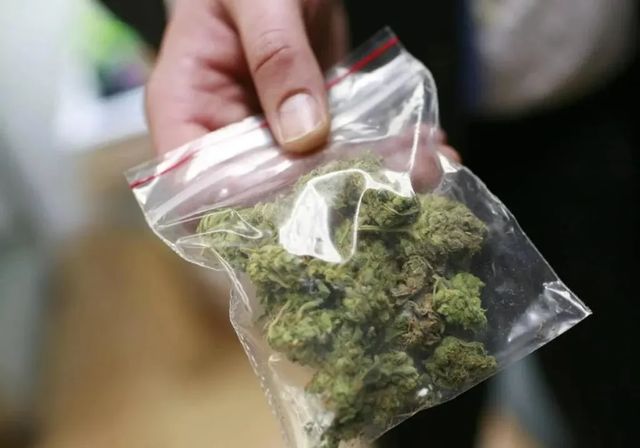 El Gobierno aprueba por decreto el uso medicinal del cannabis | La Verdad