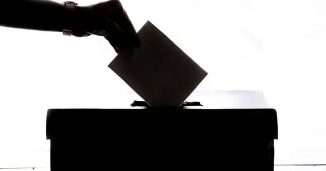 Cati alegatori romani s-au inscris online pentru a vota in diaspora