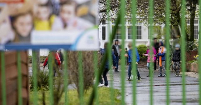 A fideszes kormánybiztos szerint kaotikus a magyar iskolarendszer