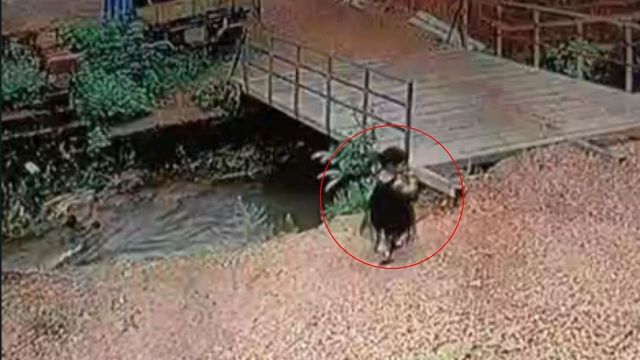 Two-year-old dies after falling into overflowing drain in Karnataka