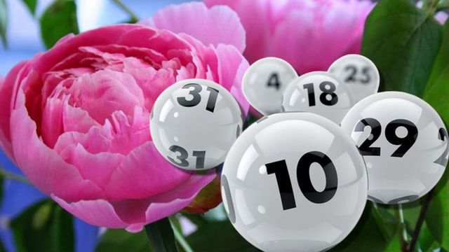 Noi trageri Loto, joi, 29 mai. La Joker sunt în joc aproape 4 milioane de euro