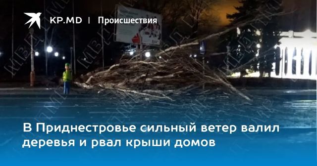 Непогода в Молдове — сильный ветер валил деревья на улицах столицы