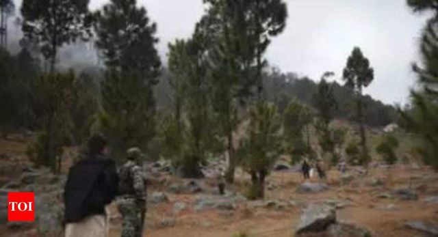 Italian Scribe Claims 170 JeM Terrorists Killed in Balakot Air Strike