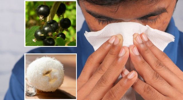 Scoppiata la pollinosi stagionale, cos’è e sintomi