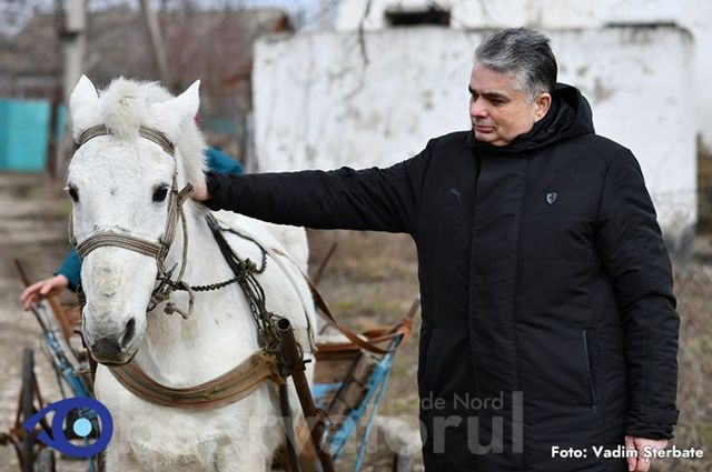 Consulul General al României de la Bălți a cumpărat la licitație calul școlii din Căinarii Vechi