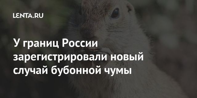 Девушка съела сурка и заболела бубонной чумой