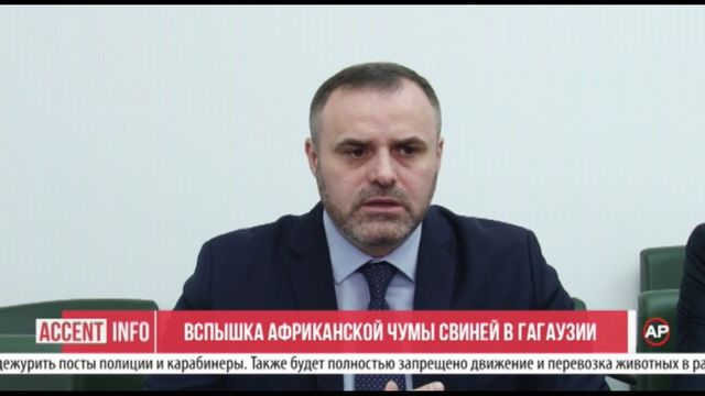 Вспышка африканской чумы свиней в Гагаузии