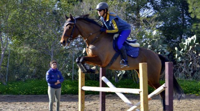 Sassari, amazzone Margherita Mayer muore in incidente al Jumping Tour