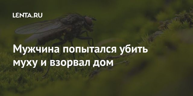 Мужчина хотел убить муху, но в результате взорвал дом