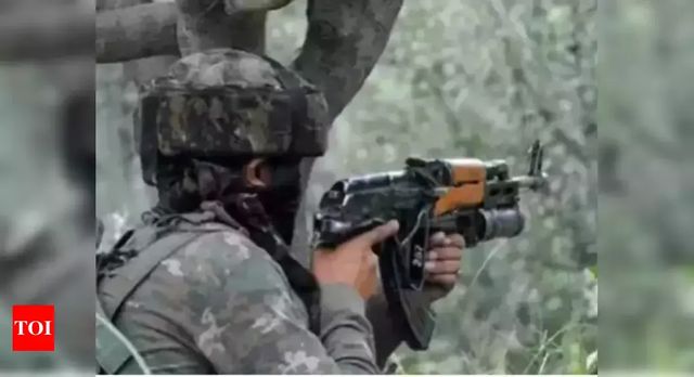 2 terrorists killed in encounter in Jammu and Kashmir
