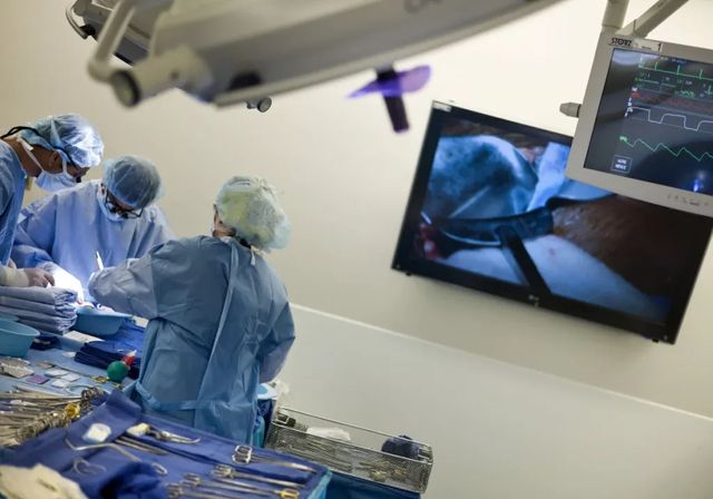 Los españoles con infección por VIH ya pueden donar órganos para trasplantes