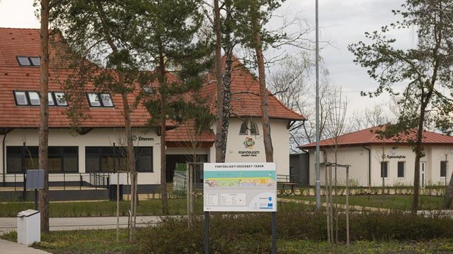 Megszűnhet a napközis Erzsébet-tábor, idén már a pályázatokat sem írják ki