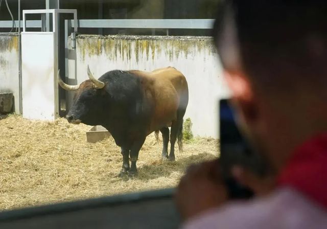 Los temidos Cebada Gago corren este martes en el segundo encierro de San Fermín