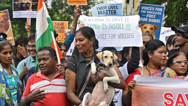Protests in Chennai over Supreme Court order on relocating stray dogs in Delhi