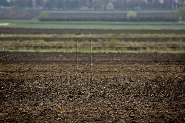 Acces liber la terenuri. Fermierii prelucrează pământurile după traseul Râbnița-Tiraspol