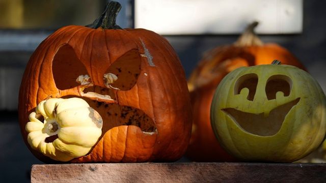 Halloween Day 2023: Date, history, significance and celebration