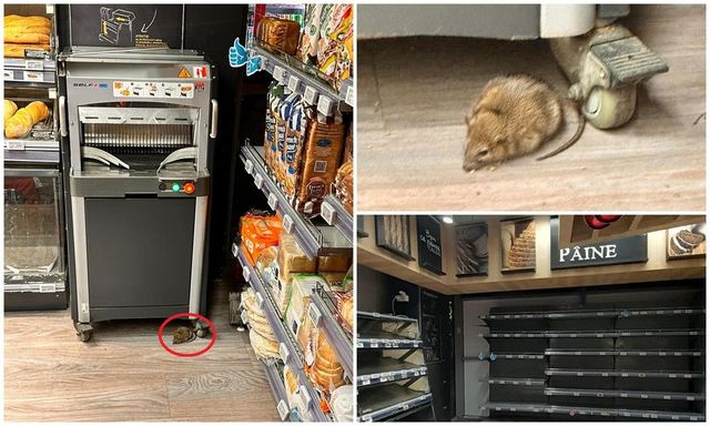 Protecția Consumatorilor a găsit un șobolan într-un magazin din sectorul 1 al Capitalei