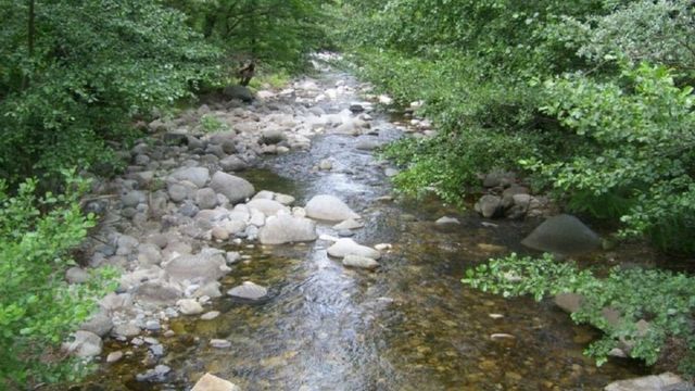 Un copil de doi ani a murit după ce s-a înecat în pârâul din spatele casei, în Scorțeni, județul Prahova