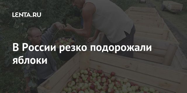 Названа причина резкого повышения цен на яблоки