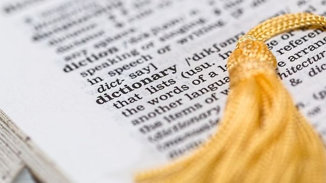 Skibidi, delulu, tradwife enter Cambridge Dictionary. What does it mean?