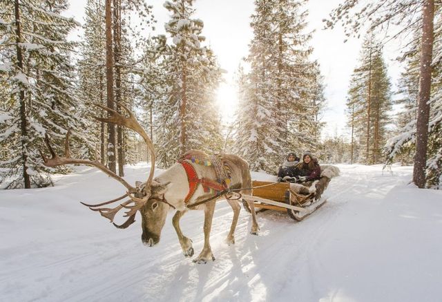 O companie imobiliară și-a trimis clienții în Laponia, imagini din călătorie​