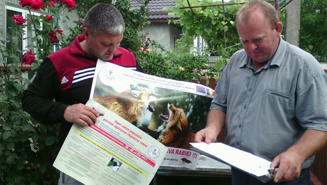 Vulpile din țară vor fi vaccinate contra rabiei, în premieră pentru Republica Moldova