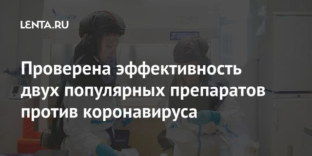 Сибирские учёные проверили эффективность антител к коронавирусу на хомяках