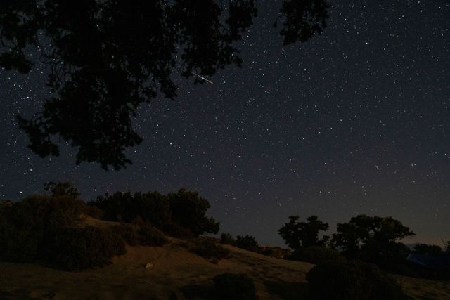 Perseide 2023: Ploaie de stele căzătoare, vizibilă sâmbătă noaptea pe cerul României