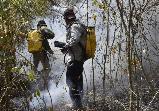 Önkéntes tűzoltók gyújtogattak Brazíliában