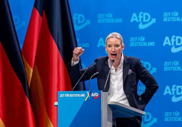 Los servicios de inteligencia alemanes clasifican a la ultraderechista AfD como grupo extremista