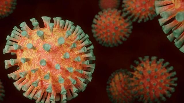 India anunță că a descoperit o variantă de coronavirus cu dublă mutație