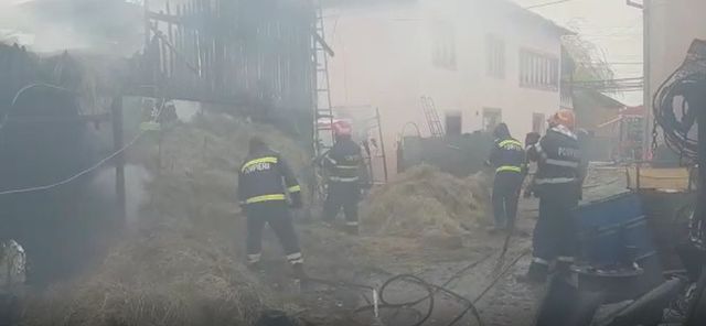 Incendiu violent la un dăpost de animale din Argeș. Zeci de porci au fost carbonizați