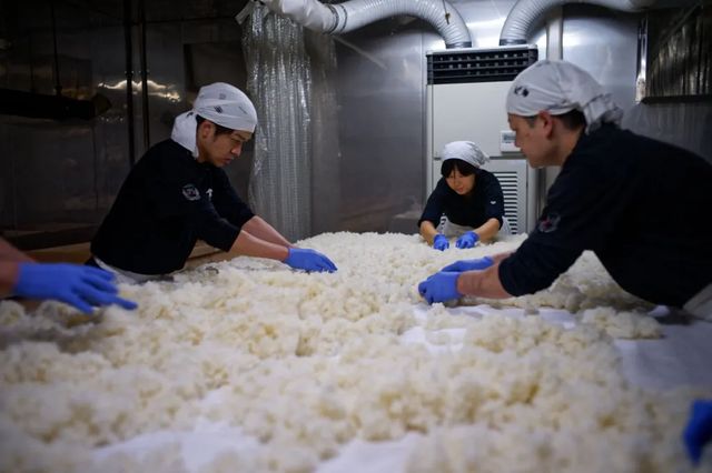 Ministrul agriculturii din Japonia a demisionat după ce a spus că el nu cumpără orez, pentru că-l primește gratis